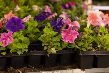 Similar image 22637316