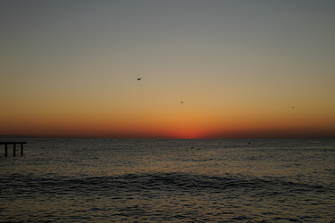 Similar image 22637325