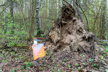 Similar image 22637716