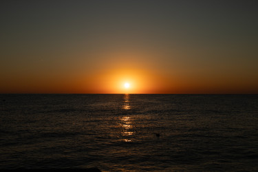 Similar image 22637327