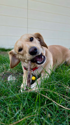 Similar image 22637329