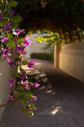 Similar image 22637331