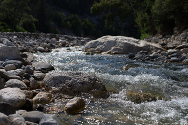 Similar image 22640698