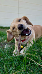 Similar image 22637345