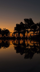 Similar image 22636986