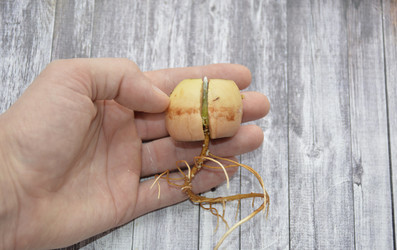 Similar image 22635330