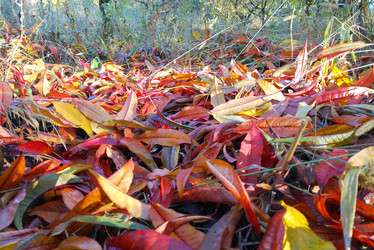 Similar image 22635331