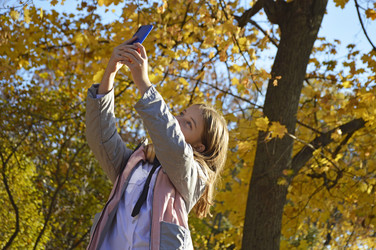 Similar image 22635334