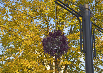 Similar image 22635335