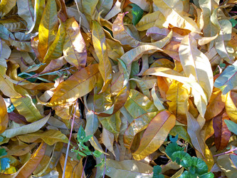 Similar image 22635336