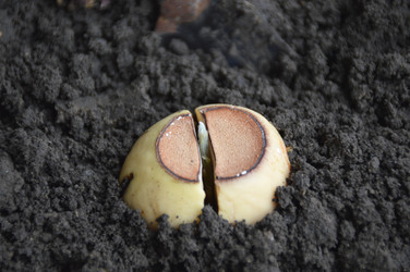 Similar image 22635337