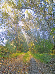 Similar image 22635338