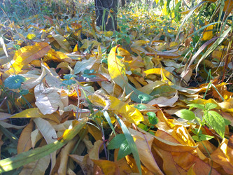 Similar image 22635340