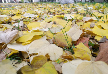 Similar image 22635346