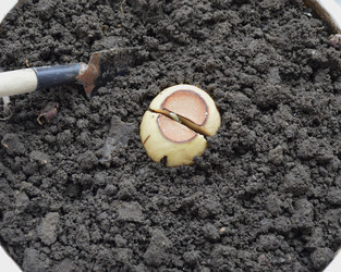 Similar image 22635347