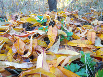 Similar image 22635348