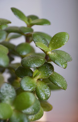 Similar image 22635350