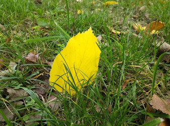 Similar image 22635352