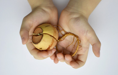 Similar image 22635353