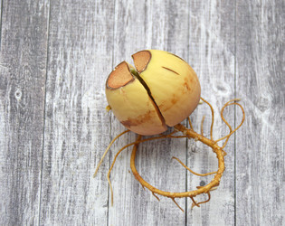 Similar image 22635356