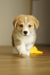 Similar image 22634297