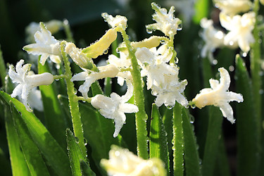 Similar image 22636129