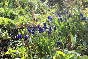 Similar image 22636131