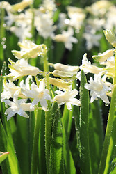 Similar image 22636055