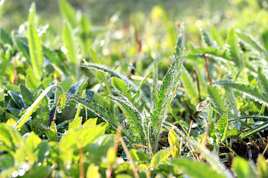 Similar image 22636056