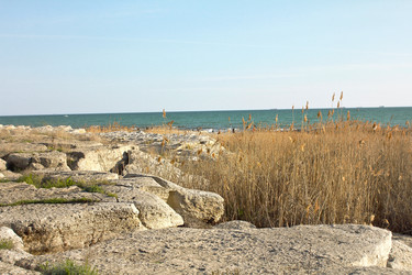 Similar image 22634205