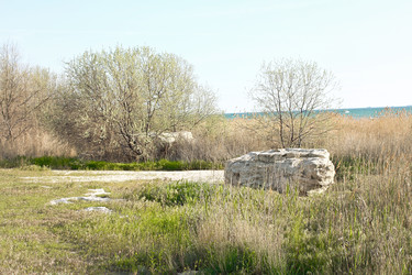 Similar image 22634207