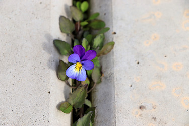 Similar image 22636057