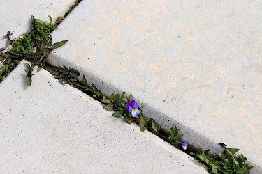 Similar image 22636058