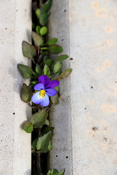 Similar image 22636059