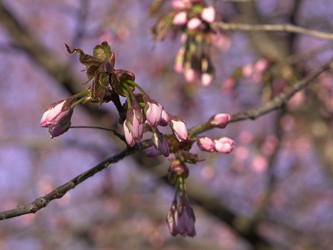 Similar image 22634241