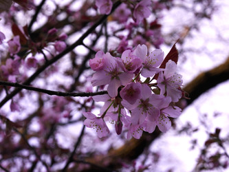 Similar image 22634242