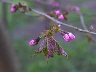 Similar image 22634243