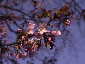 Similar image 22634244