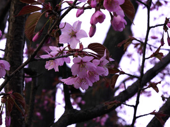 Similar image 22634245