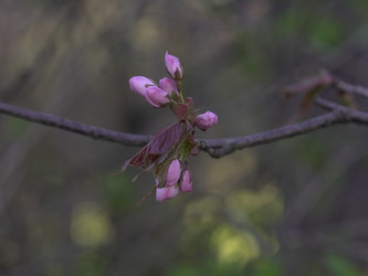 Similar image 22634246