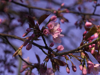 Similar image 22634260