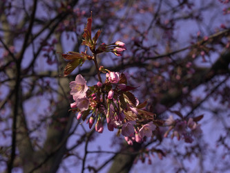 Similar image 22634261