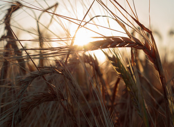 Similar image 22636098