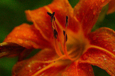 Similar image 22636099