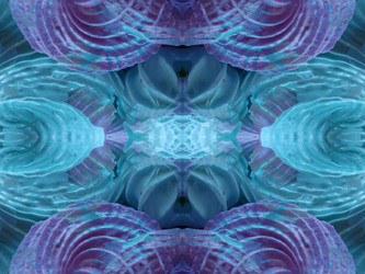 Similar image 22644387