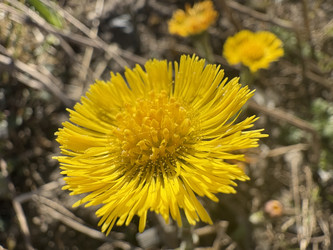 Similar image 22641540