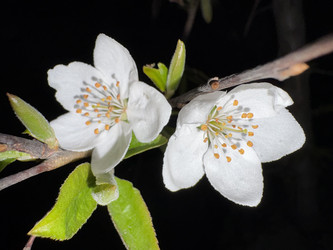 Similar image 22641541