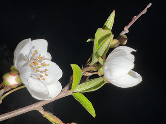 Similar image 22640398