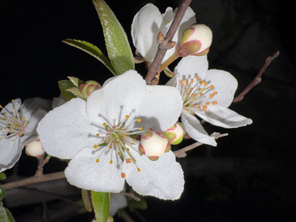 Similar image 22641542