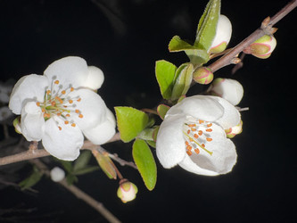 Similar image 22641543